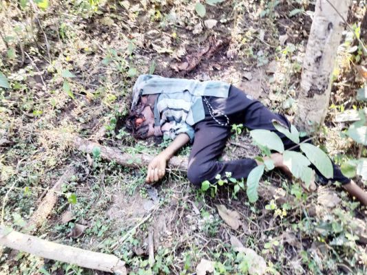 चनाभर्री के जंगल में मिली सिर कटी लाश, जांच शुरु