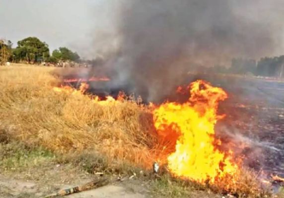 5 एकड़ खड़ी फसल में लगा दी आग,  2 लाख का धान खाक
