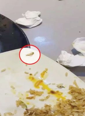 मद्रासी रेस्टोरेंट की बिरियानी में काक्रोच, सफाई को लेकर बवाल