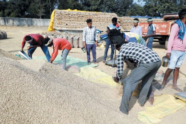 धान बेचने और रकबा समर्पण में रायगढ़ अव्वल