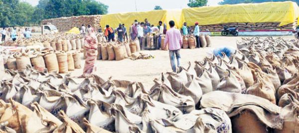 समर्थन मूल्य पर धान खरीदी जारी, पारदर्शी व्यवस्था से किसान संतुष्ट