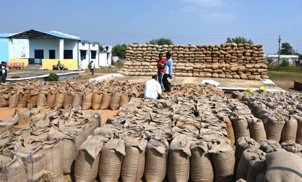 महासमुंद में अब तक पौने  2 लाख टन धान की खरीदी