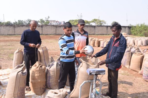 अब तक 34 हजार किसानों से 409 करोड़ की धान खरीदी