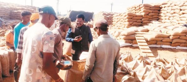 समितियों से 7,189.00 मे. टन धान का उठाव