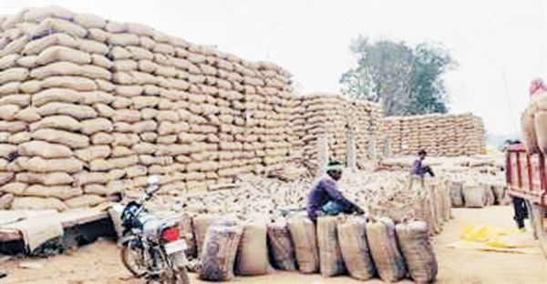 बलौदाबाजार: खरीदी केंद्रों में 16 लाख क्विंटल धान जाम