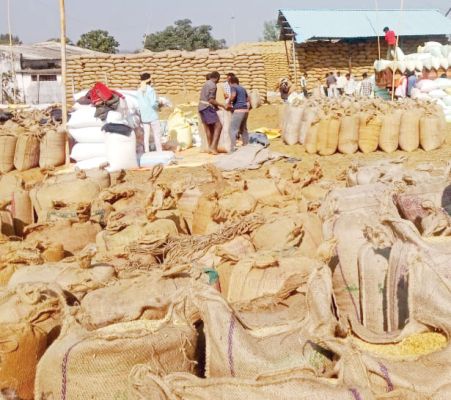धान बिक्री प्रक्रिया हुई सरल, अब दिन-रात कभी भी मिलेगा तूहर टोकन