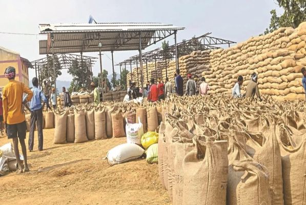  182 धान खरीदी केंद्रों में बंफ र लिमिट पार, आधे से अधिक में उठाव शुरु ही नहीं