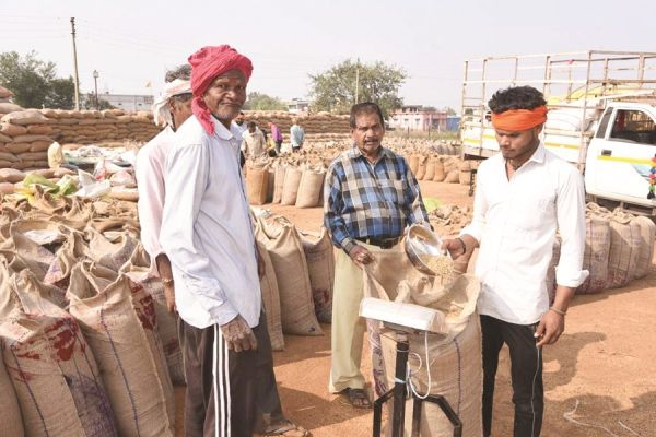 34 हजार किसानों से 1,77,563  मे. टन धान की खरीदी