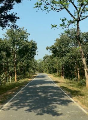 पीएम जनमन योजना से बदली ग्राम  बांसकुड़ा कमार बस्ती की तस्वीर