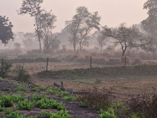 घने कोहरे के साथ कड़ाके की सर्दी