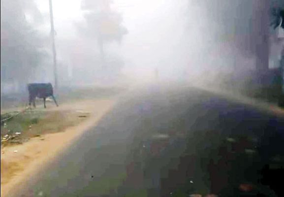 बलरामपुर में घना कोहरा, दृश्यता शून्य, सडक़ों पर थमी रफ्तार