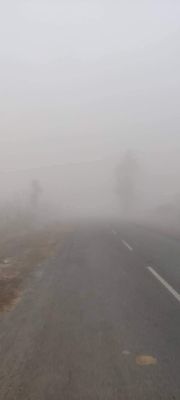 शीतलहर और घने कोहरे की चपेट में सरगुजा, दृश्यता बेहद कम