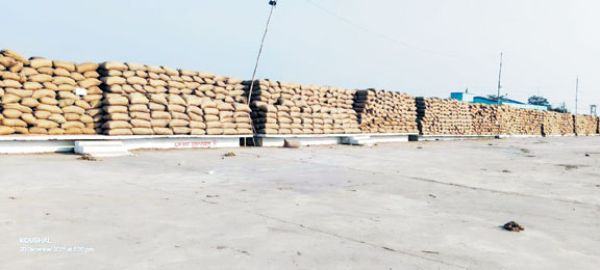 14 केन्द्रों में खरीदे गए धान का तीन चौथाई हिस्सा परिवहन का बाट जोह रहा, टेकारी में बोहनी भी नहीं