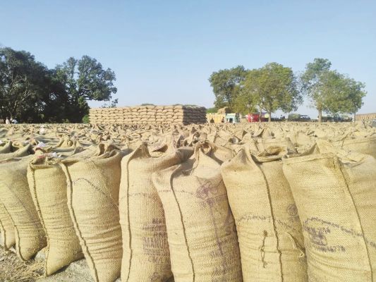 बलौदाबाजार: 27.34 लाख क्विंटल धान में से अब तक उठाव मात्र 6 लाख क्विंटल