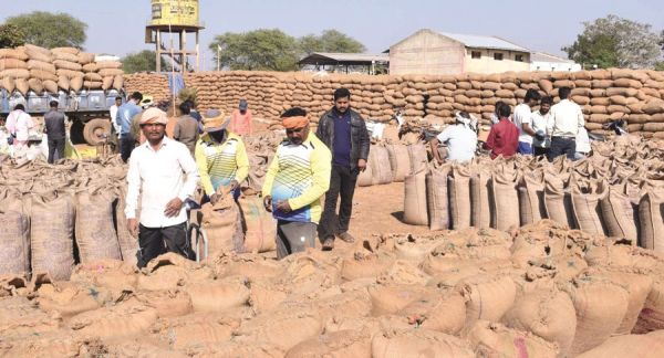 अब तक 53 हजार किसानों से  651 करोड़ की धान खरीदी