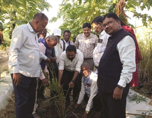 कृषकों को दिया ऑयल पॉम खेती विषय पर प्रशिक्षण