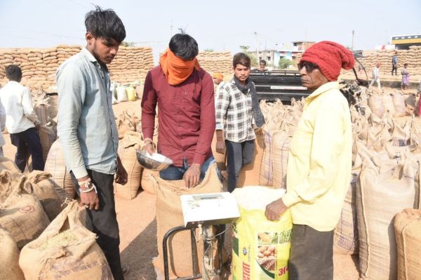  अब तक 2 लाख 24 हजार  टन धान की हुई खरीदी