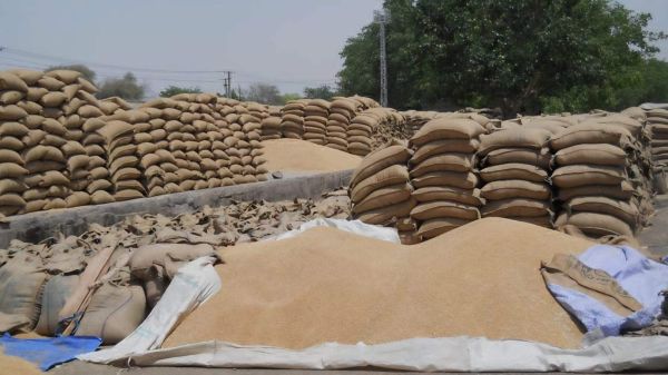 धान खरीदी में ऑनलाइन टोकन बनी मुसीबत,  अव्यवस्था से किसान परेशान