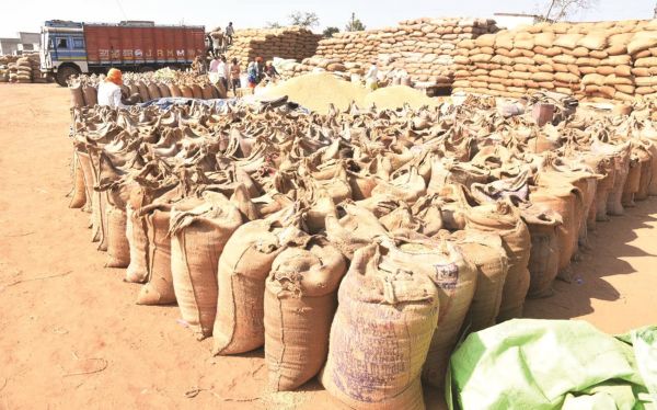 अब तक ढाई लाख टन से अधिक धान की खरीदी