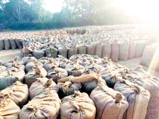 केन्द्रों में देरी से पहुंचने पर धान खरीदी से इंकार, किसान नाराज