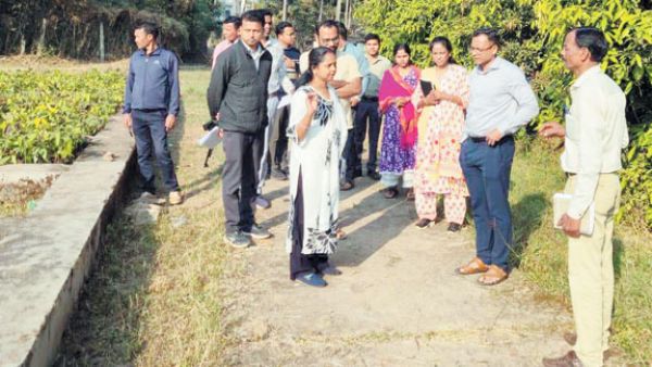 किसानों को दें बेहतर नस्ल के पौधे