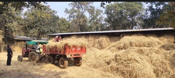 कौंदकेरा के किसान  कर रहे पैरादान