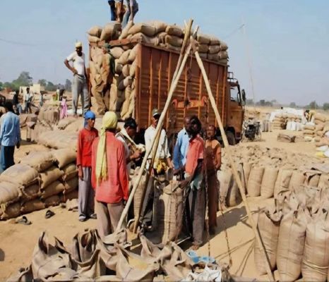 30 तक धान की लिमिट नहीं बढ़ाई तो केंद्रों में तालाबंदी - छाबड़ा