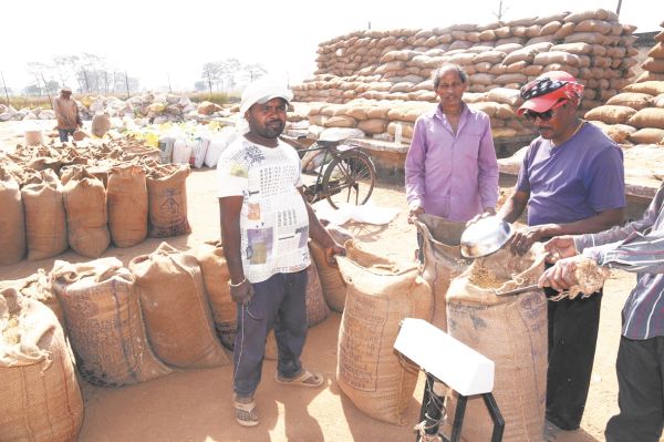 अब तक 2 लाख 69 हजार मे. टन धान की हुई खरीदी