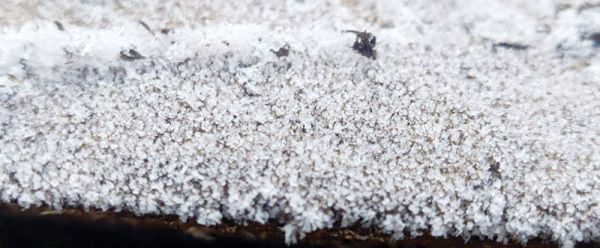 शीतलहर की चपेट में उत्तर छत्तीसगढ़, अंबिकापुर में पारा 3.5 डिग्री, 31 तक अलर्ट