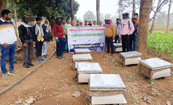 मधुमक्खियां बनीं रोजग़ार की कुंजी, शहद ने घोली जीवन में मिठास