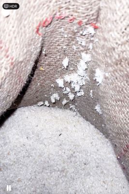  वेयरहाउस के चावल में फफूंद-इल्लियां!