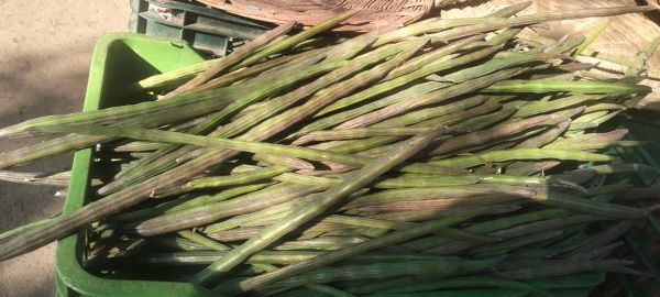 ठंड के सीजन में भी सब्जियों के दाम आसमान पर