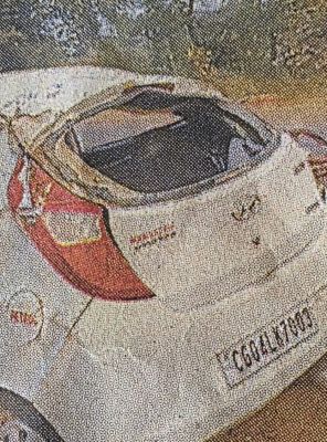 कार पलटी, मां की   मौत, बेटा घायल