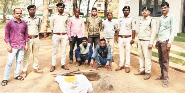 करंट से जंगली सुअर का शिकार, दो आरोपी गिरफ्तार