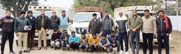 मवेशी चोर गिरोह का भंडाफोड़, 7 आरोपी गिरफ्तार