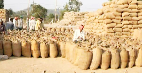 सूरजपुर में अब तक 3.41 लाख क्विंटल से अधिक की धान खरीदी