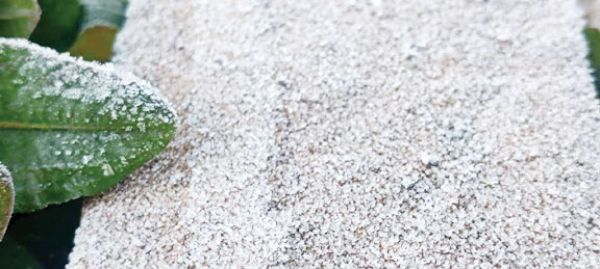 उत्तर छत्तीसगढ़ में शीतलहर का प्रकोप, तापमान 2 डिग्री पहुंचा