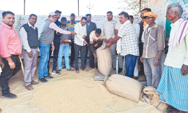 दलहन-तिलहन की समर्थन मूल्य पर खरीदी शुरू