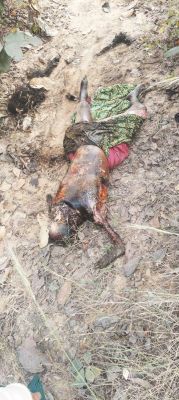 नदी किनारे महिला की सड़ी-गली लाश मिली, जांच में जुटी पुलिस