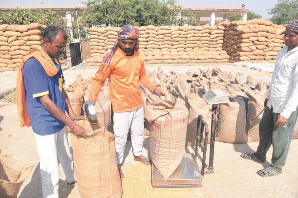 उपार्जन केन्द्रों से 1,45,118.52  टन धान का उठाव