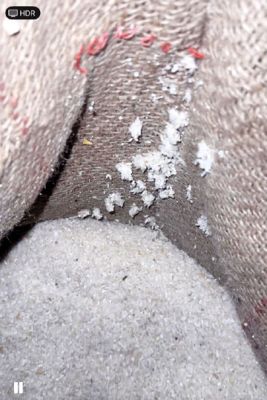 चावल में फफूंद, गोदाम प्रभारी निलंबित