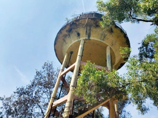  पानी टंकी में मधुमक्खियों का छत्ता, नागरिकों ने जताई सुरक्षा की चिंता