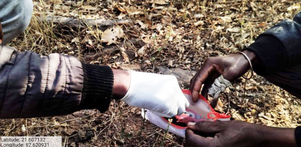 अखिल भारतीय बाघ आंकलन शुरु