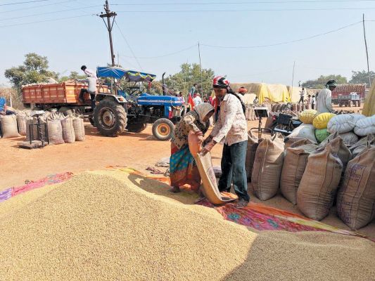 धान उपार्जन में लापरवाही-खाद्य निरीक्षक निलंबित, सोसाइटी के 2 कर्मी सेवामुक्त