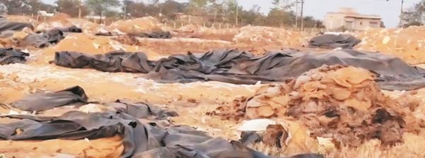 सरदा-लेंजवारा धान संग्रहण केंद्र में 17 करोड़ के धान की कमी, केंद्र प्रभारी निलंबित