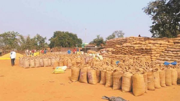 धान संग्रहण केंद्रों में सूखत का आंकड़ा सामने आया, हथबंद केंद्र में सर्वाधिक