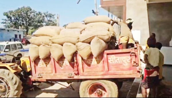  भाजपा नेता के घर से 400 से अधिक बोरी धान जब्त