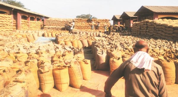 दुर्ग के उपार्जन केन्द्रों में 31 लाख क्विंटल धान जाम