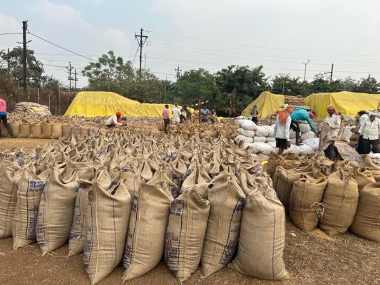 नांदगांव में अब तक 116456 किसानों से 1378 किसानों से धान की खरीदी