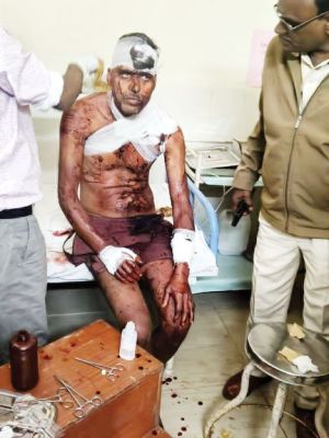 जंगल में मवेशी चराने गए दो ग्रामीणों पर भालू का हमला